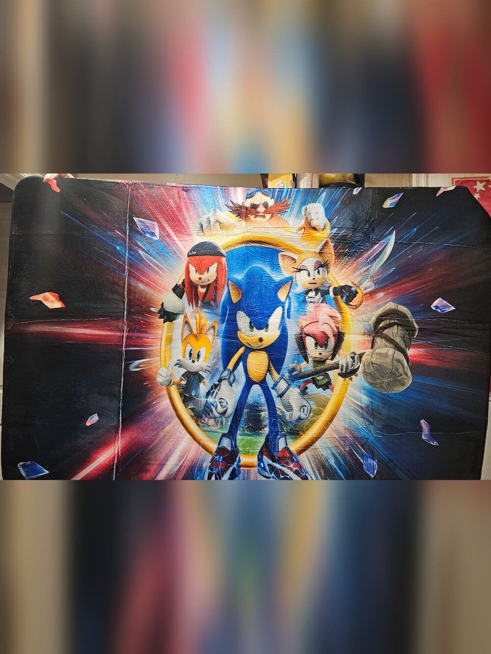 SONIC THE HEDGEHOG PLAY MAT/RUG